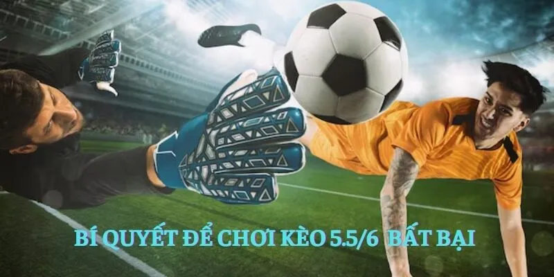 Bí quyết để chơi kèo 5.5/6 bất bại 