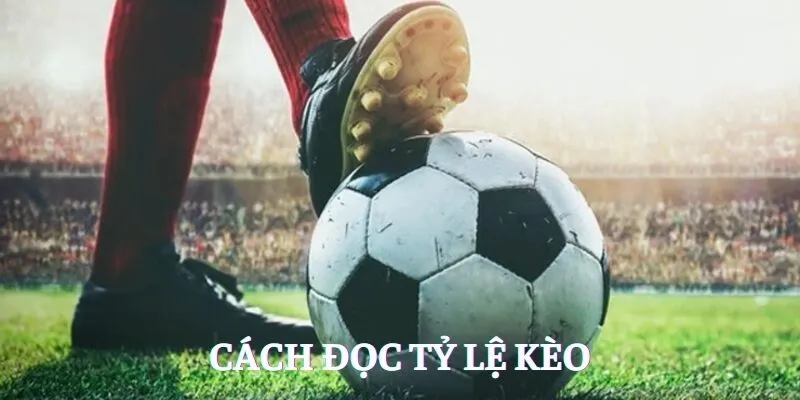 Cách đọc tỷ lệ kèo