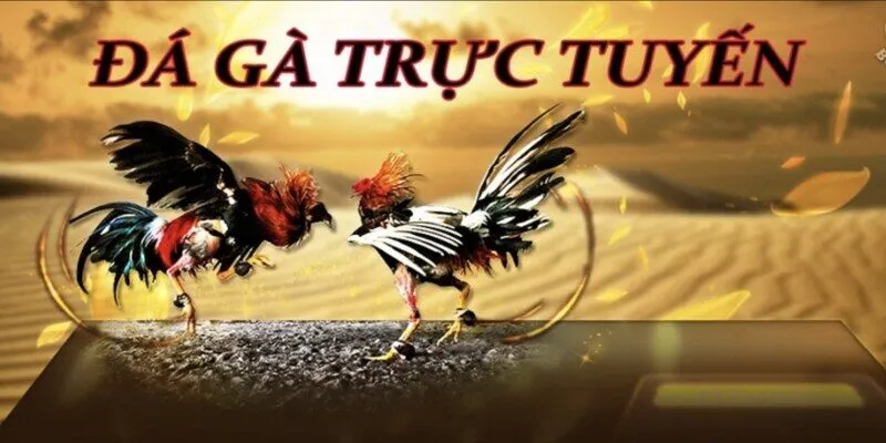 đá gà trực tuyến