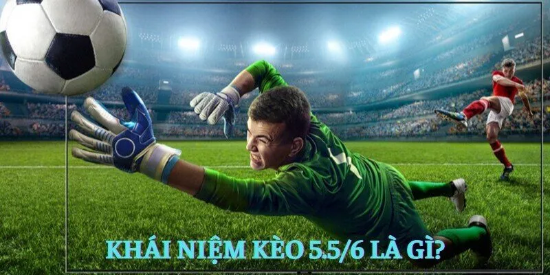 Khái niệm kèo 5.5/6 là gì?