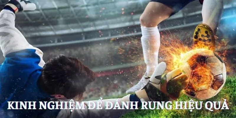 Kinh nghiệm để đánh rung được hiệu quả
